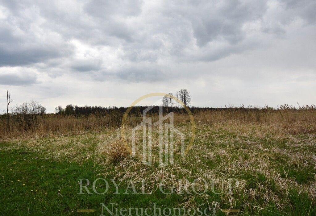 Działka rolna Giżyce. Zdjęcie 5