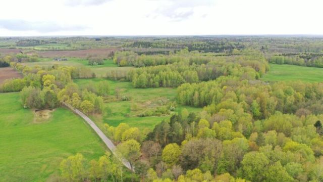 Działka rolna Langanki. Zdjęcie 7