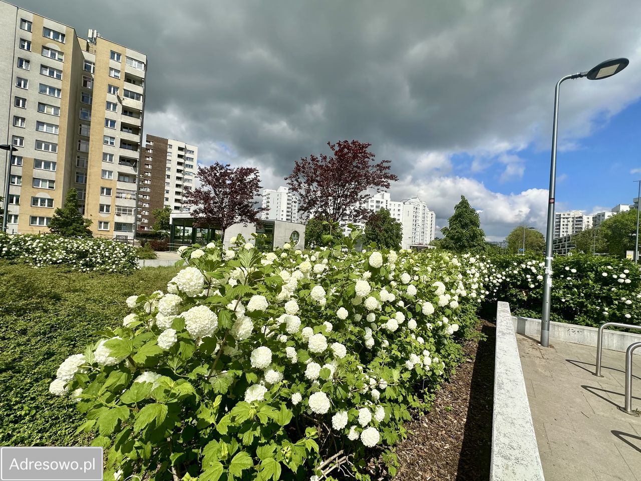 Mieszkanie 3-pokojowe Warszawa Targówek. Zdjęcie 13