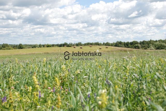 Działka siedliskowa Bruki Unisławskie. Zdjęcie 2