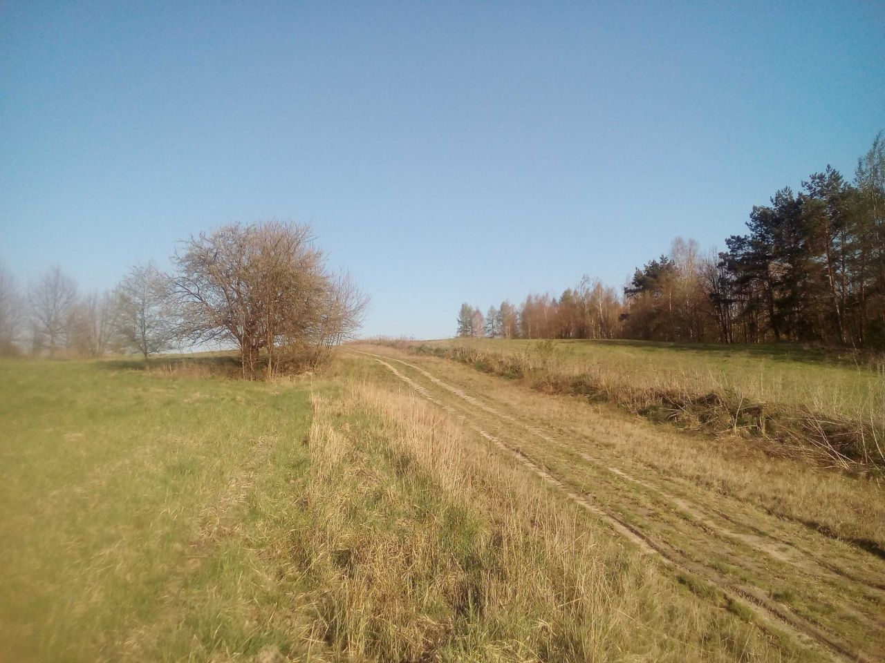 Działka budowlana Uniegoszcz. Zdjęcie 3