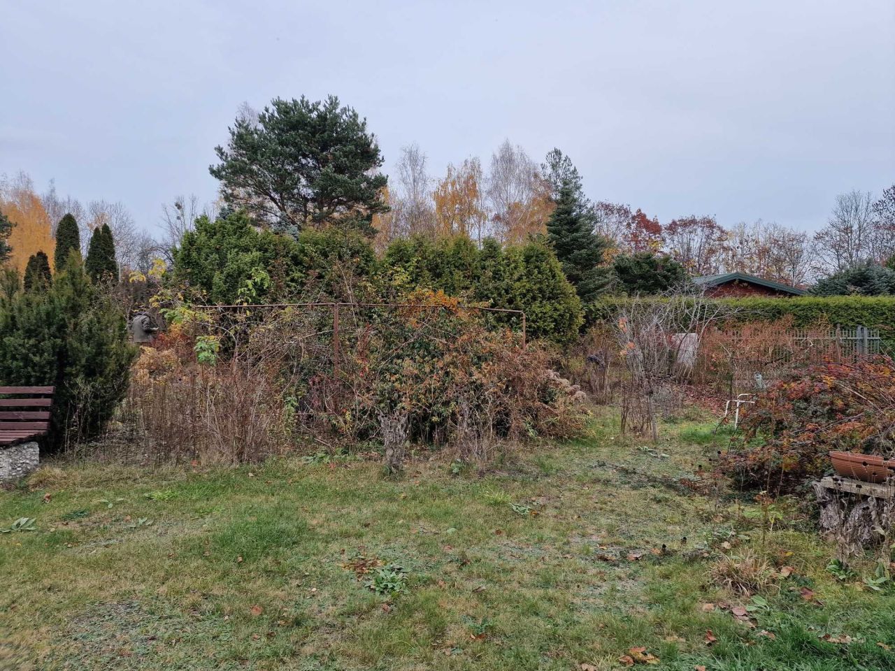 Działka rod Szczaki. Zdjęcie 7