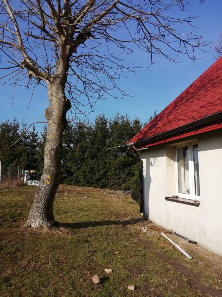 dom wolnostojący, 6 pokoi Gutowo. Zdjęcie 21