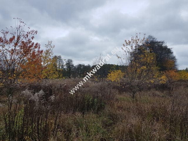 Działka budowlana Milanówek. Zdjęcie 5