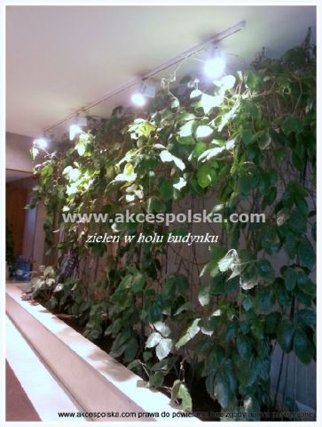 Mieszkanie 2-pokojowe Warszawa Ochota, ul. Grójecka. Zdjęcie 16