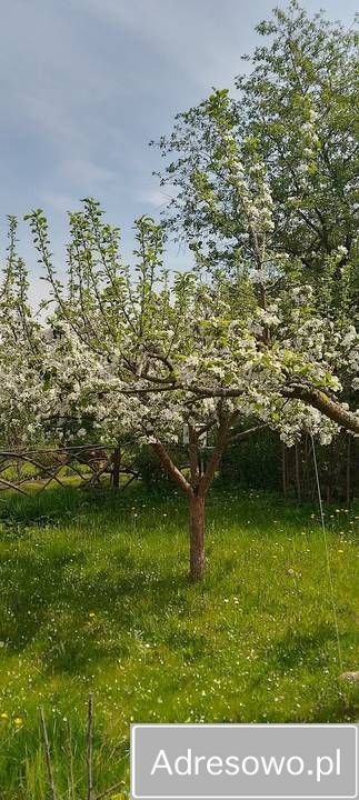 Działka rod Białystok Dojlidy, ul. płk. Czesława Hake. Zdjęcie 8