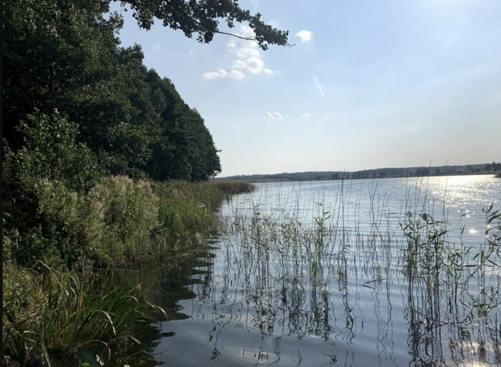 Działka budowlana Lubichowo. Zdjęcie 3