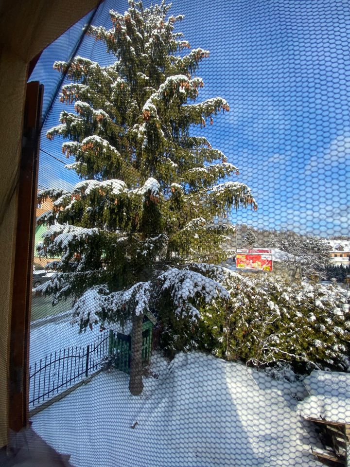 dom wolnostojący, 3 pokoje Krynica-Zdrój Krynica-Wieś, ul. Józefa Ignacego Kraszewskiego. Zdjęcie 3