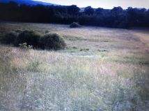 Działka Zawada. Zdjęcie 4