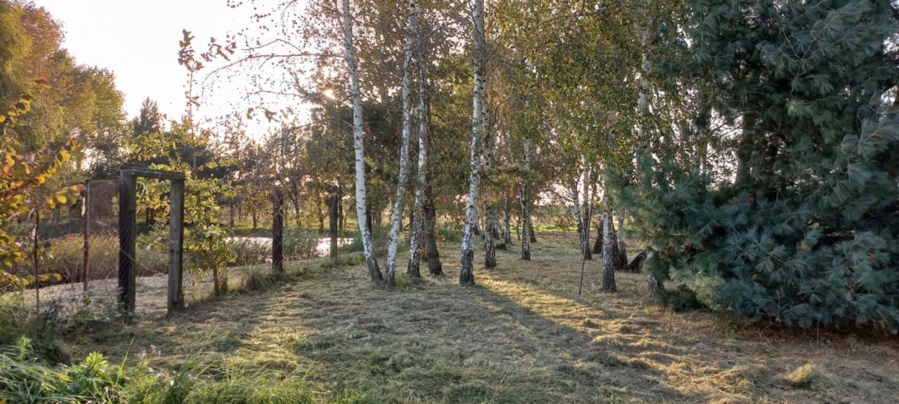 Działka budowlana Korzeńsko, ul. Chodlewska. Zdjęcie 7