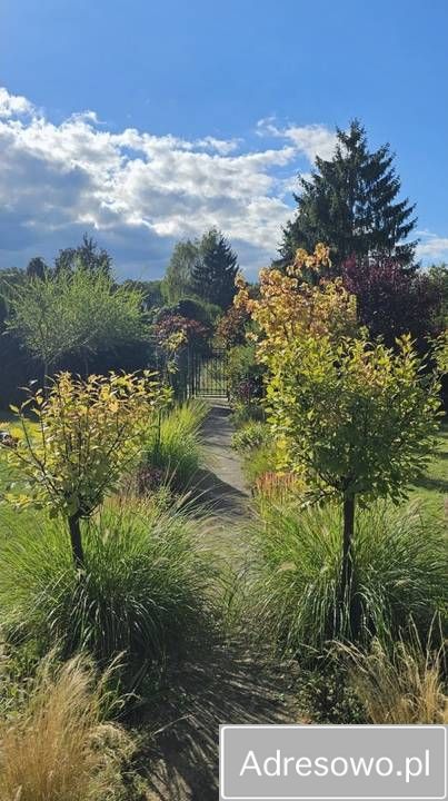 Działka rod Chełmno. Zdjęcie 6