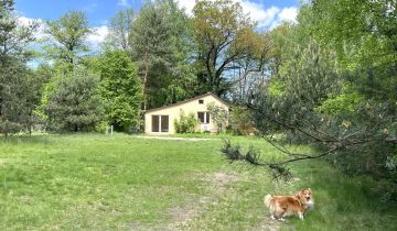 dom wolnostojący, 3 pokoje Obręb