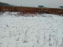 Działka budowlana Gwiazdowo. Zdjęcie 2