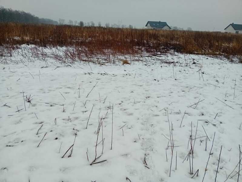 Działka budowlana Gwiazdowo. Zdjęcie 3