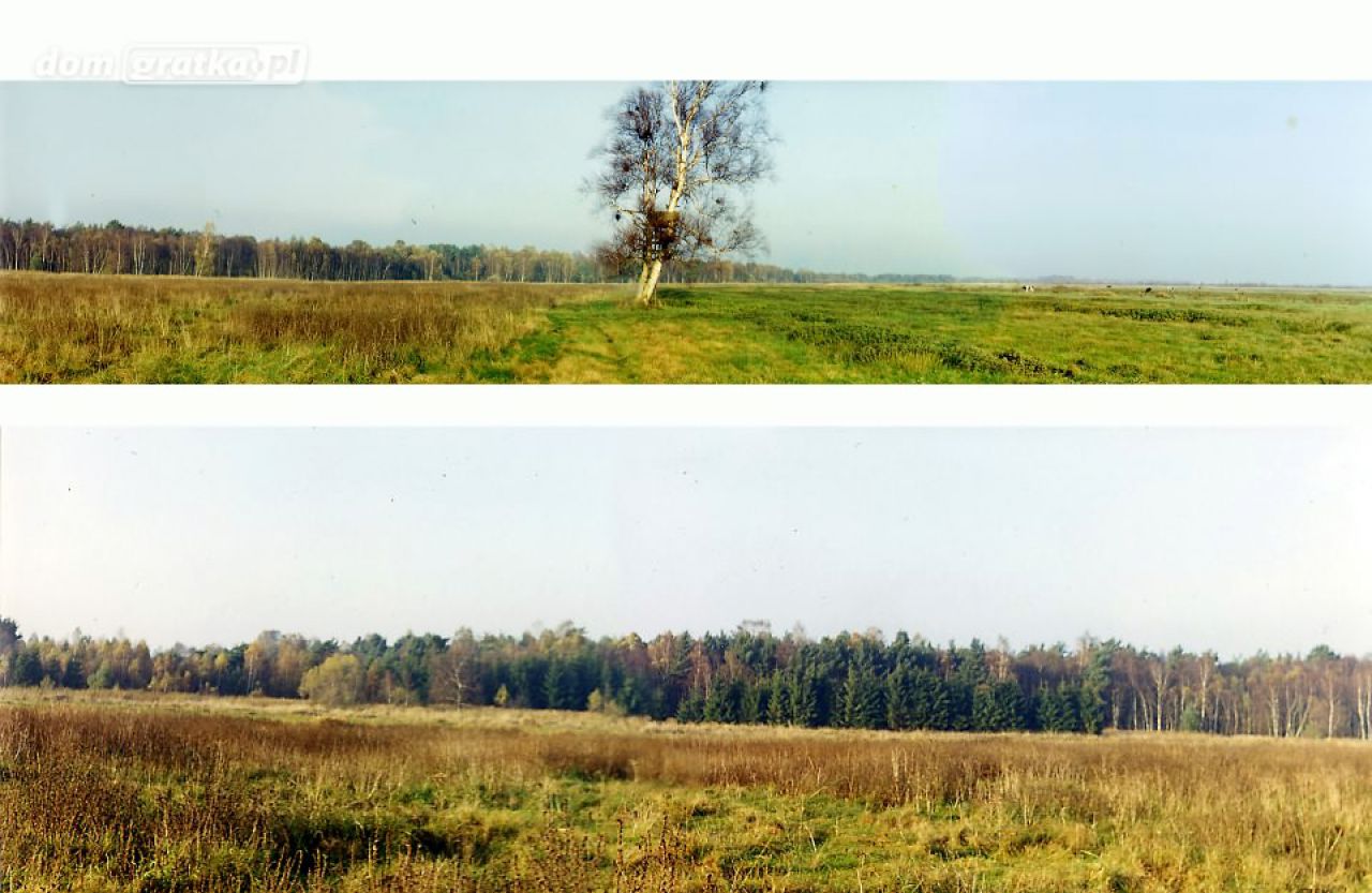 Działka rolna Białogóra
