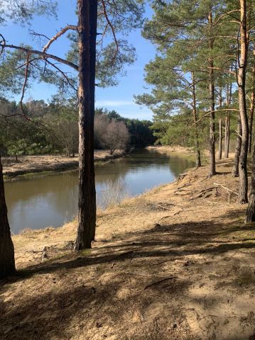 Działka rekreacyjna Prusicko Rybaki. Zdjęcie 1