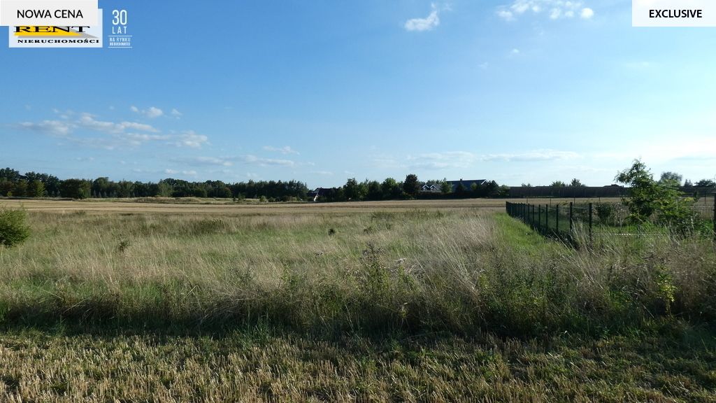 Działka rolna Kamieniec. Zdjęcie 6