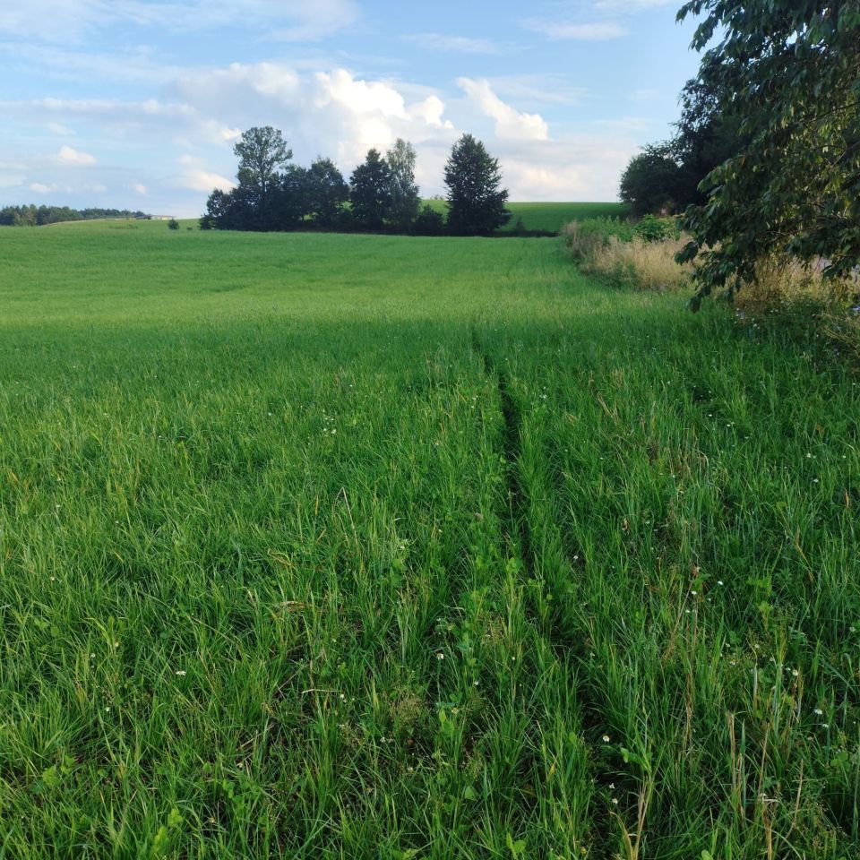 Działka rolno-budowlana Pieski. Zdjęcie 6