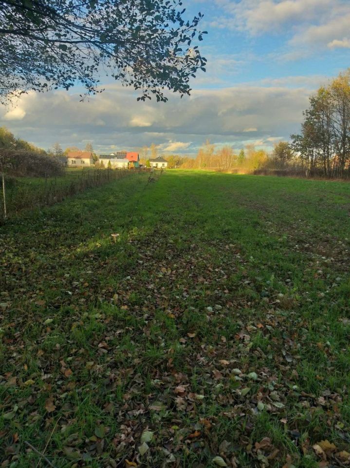 Działka budowlana Podborze Podlesie. Zdjęcie 2