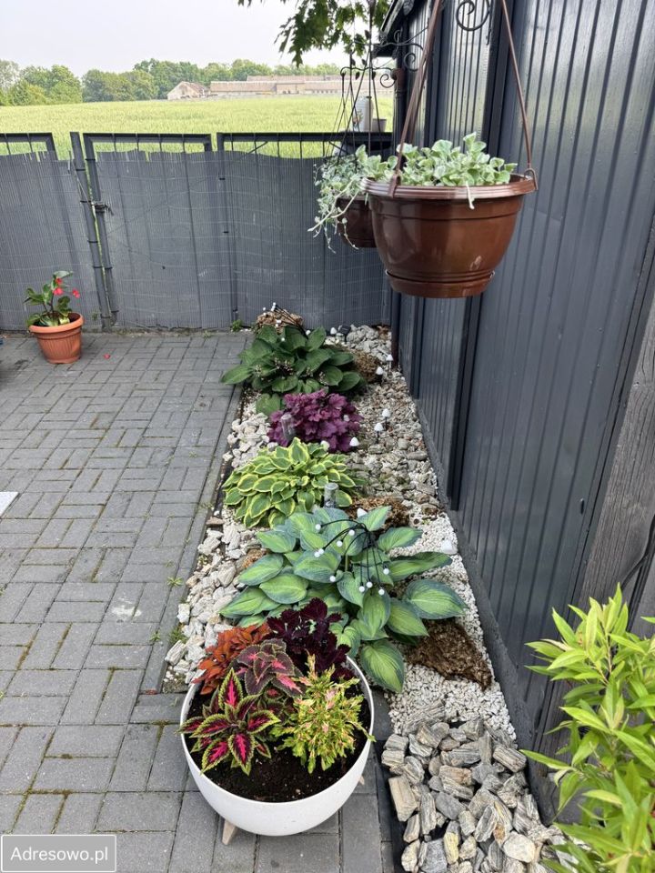 bliźniak, 3 pokoje Dziećmiarki. Zdjęcie 17