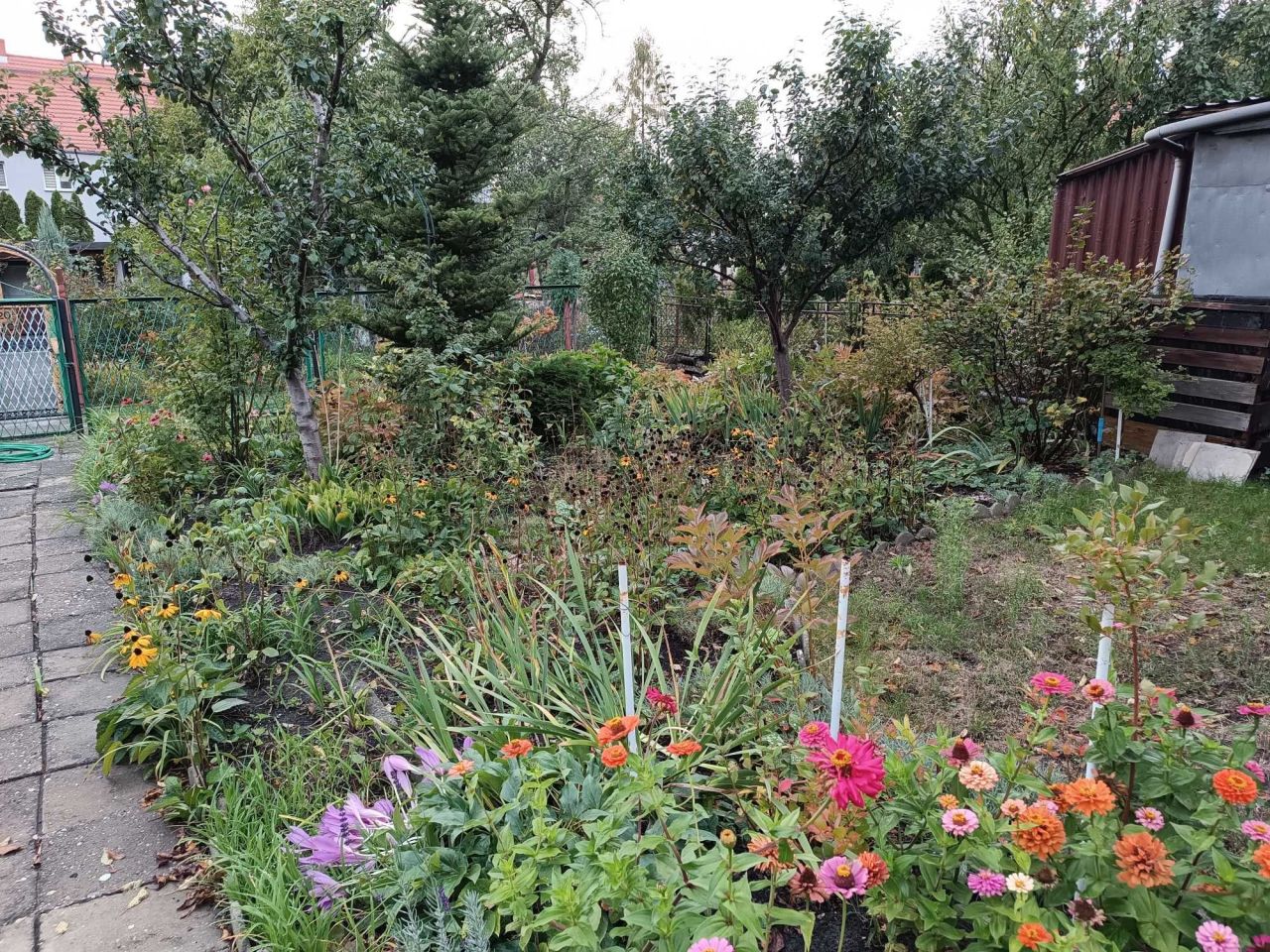 Działka rod Gliwice Sośnica. Zdjęcie 8
