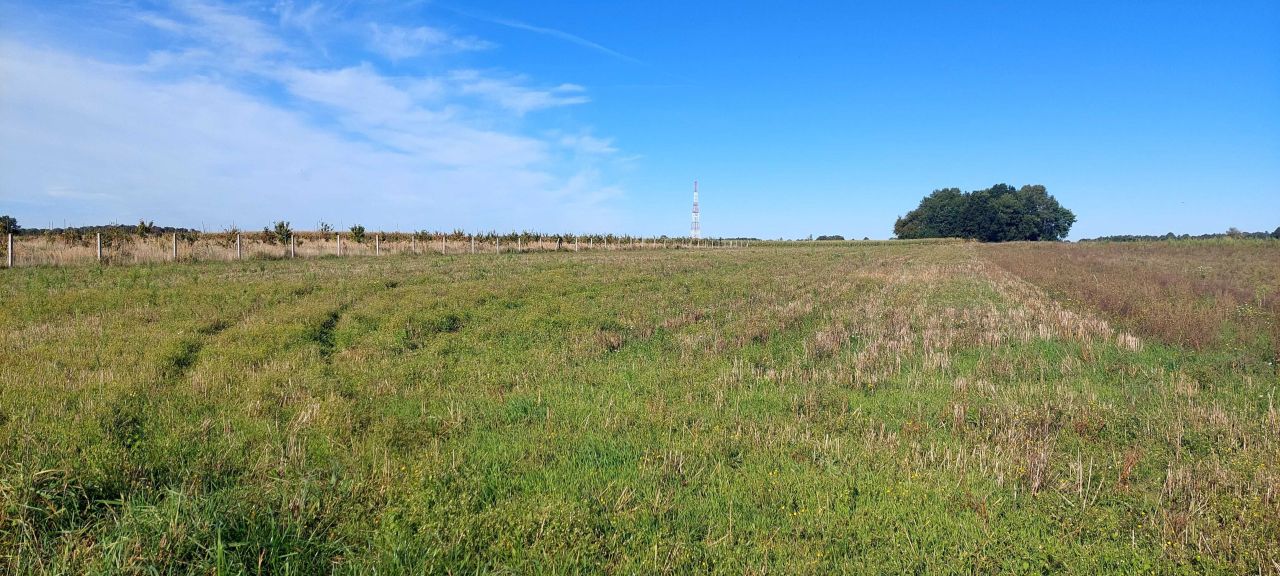 Działka rolno-budowlana Modlimowo