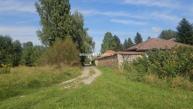 Działka inwestycyjna Cholerzyn. Zdjęcie 1