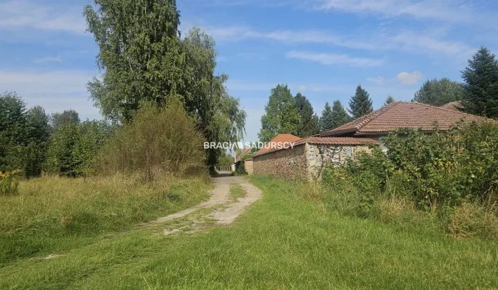 Działka inwestycyjna Cholerzyn