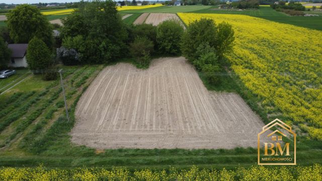 Działka siedliskowa Płouszowice-Kolonia. Zdjęcie 1