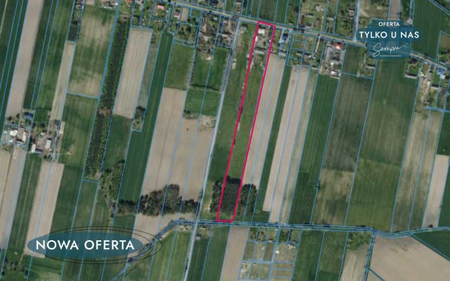 dom wolnostojący, 6 pokoi Rudniki. Zdjęcie 4