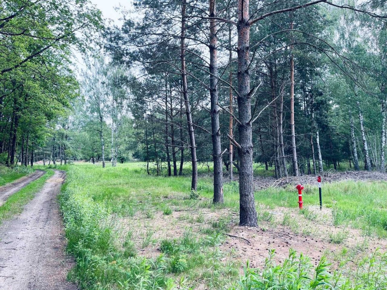 Działka budowlana Stare Budkowice. Zdjęcie 3
