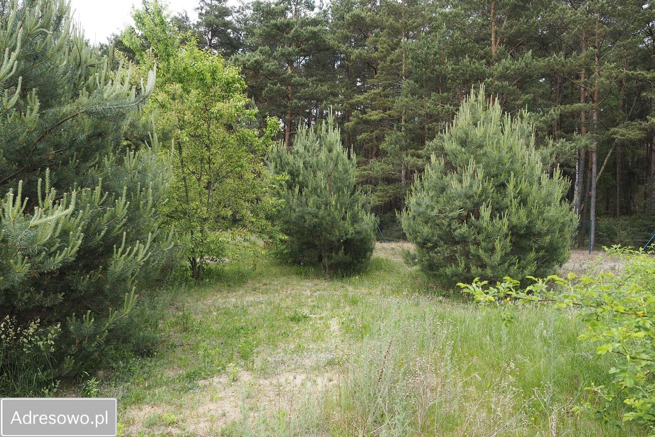 Działka budowlana Dzikowo Chrapy, ul. Tulipanowa. Zdjęcie 6