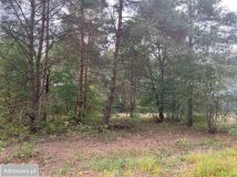 Działka budowlana Józefów. Zdjęcie 2