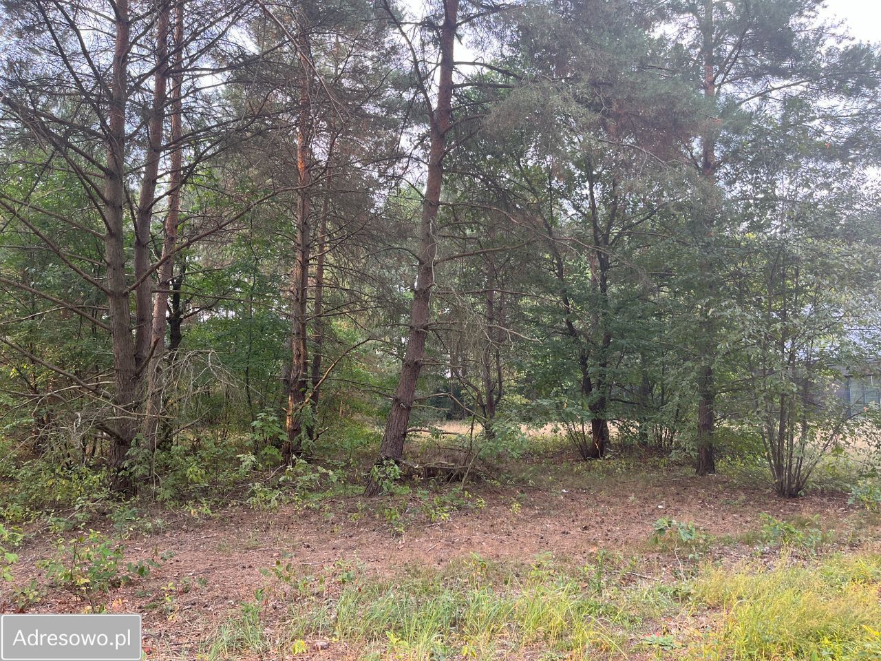 Działka budowlana Józefów. Zdjęcie 3