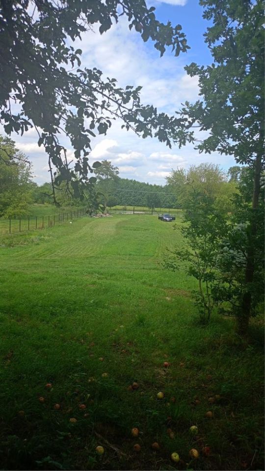 Działka rolno-budowlana Głuchówek. Zdjęcie 6