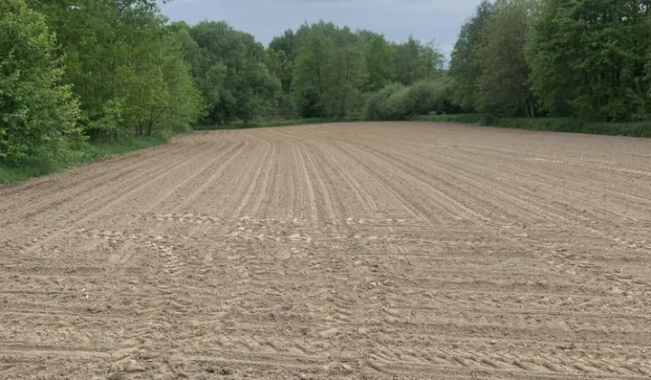 Działka budowlana Gdów