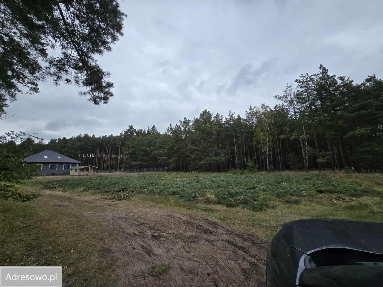 Działka budowlana Lubiewice. Zdjęcie 3