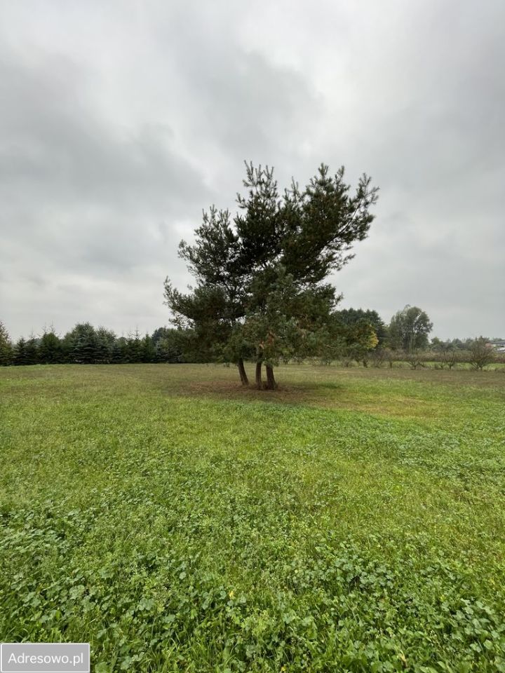 Działka siedliskowa Lesznowola. Zdjęcie 9