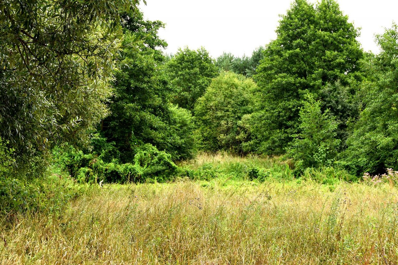 Działka budowlana Turna Duża. Zdjęcie 11