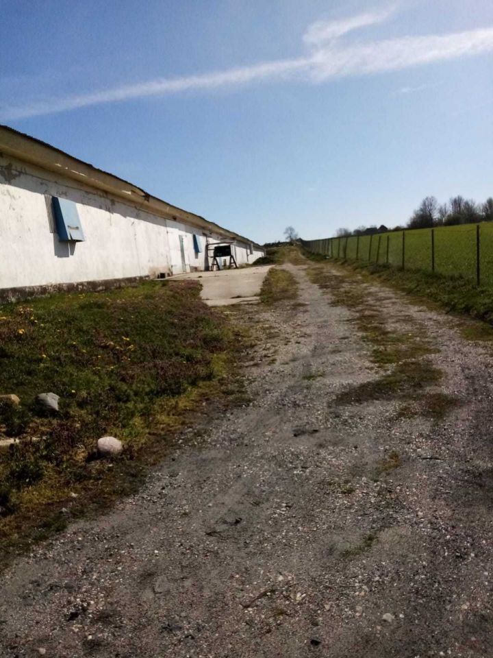 Hala/magazyn Sokołów. Zdjęcie 3