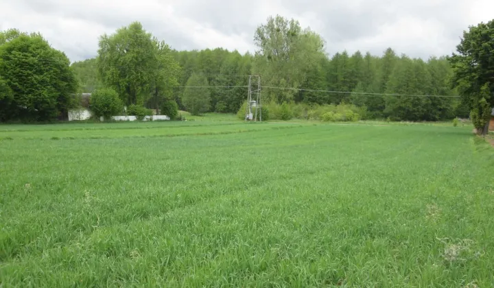 Działka rolna Krępa Górna