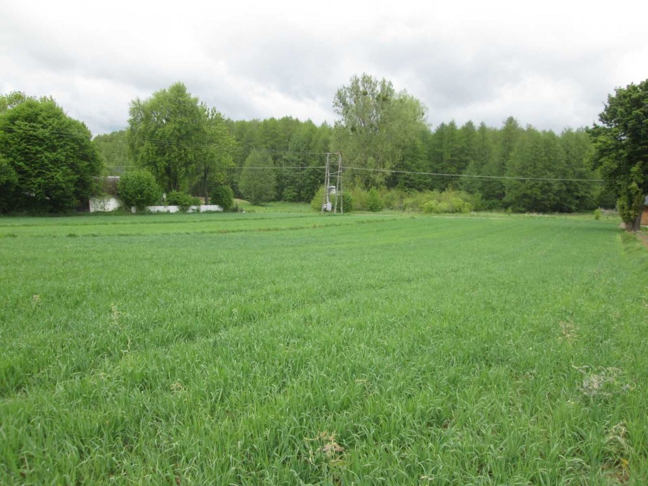 Działka rolna Krępa Górna