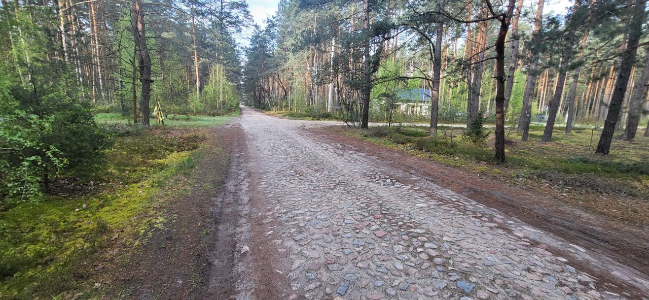 Działka leśna Popowo-Letnisko, al. Kamienna. Zdjęcie 3