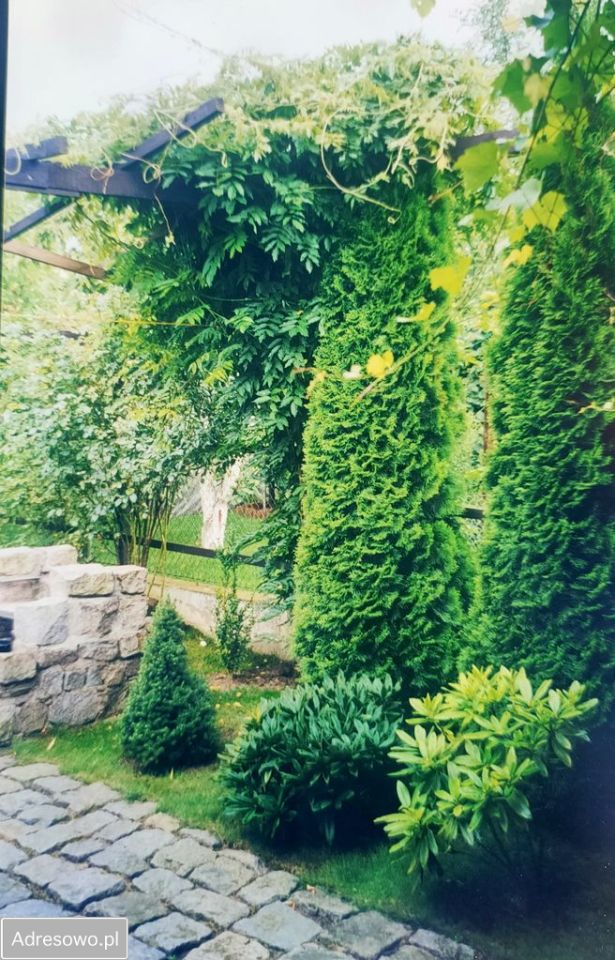 Działka rod Biedrusko. Zdjęcie 7