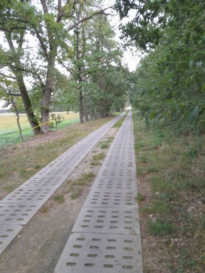 Działka budowlana Żdżary. Zdjęcie 5