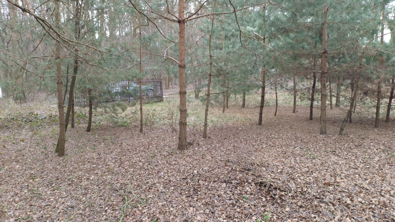 Działka budowlana Zofiówka, ul. Cmentarna. Zdjęcie 11