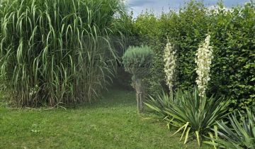 dom wolnostojący Krasice