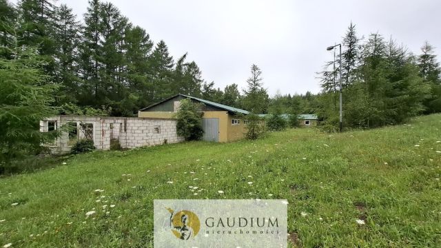 Działka budowlana Pomlewo. Zdjęcie 11