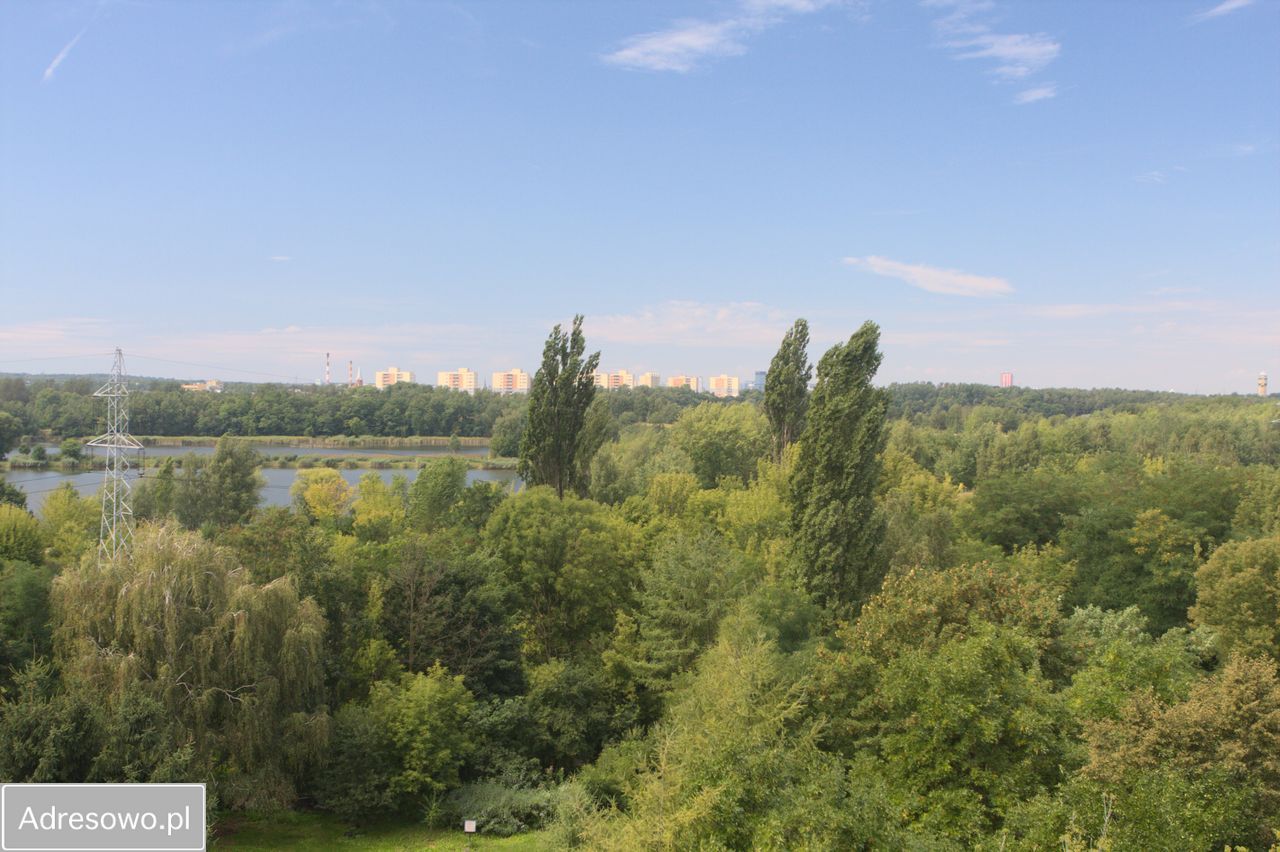 Mieszkanie 3-pokojowe Sosnowiec Centrum, ul. Naftowa. Zdjęcie 4