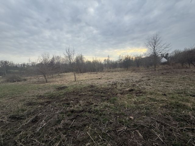 Działka inwestycyjna Wrocław Psie Pole. Zdjęcie 1